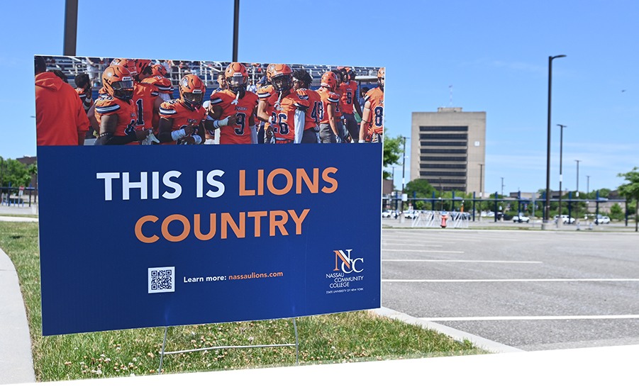 This is Lions Country