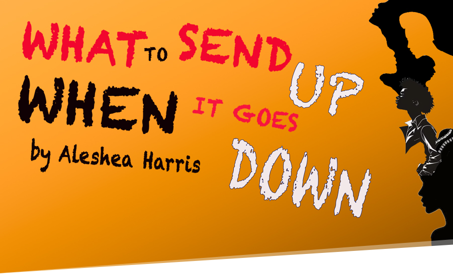   WHAT TO SEND UP WHEN IT GOES DOWN by Aleshea Harris 