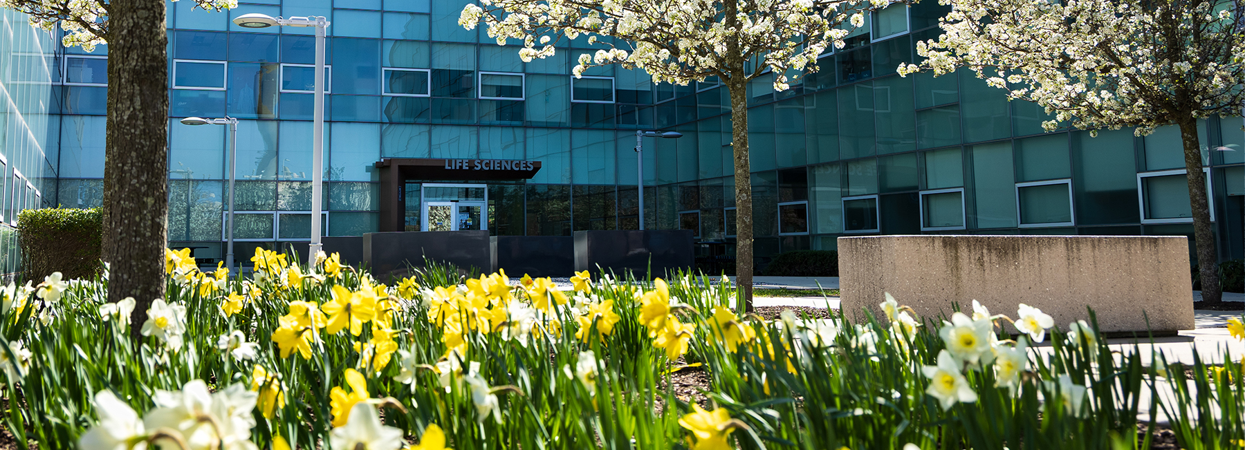 Get ahead this winter!