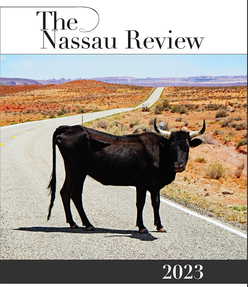 The Nassau Review Cover Art 2020