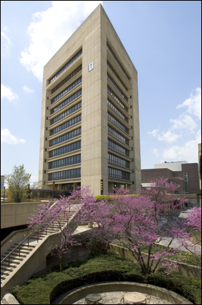 Tower Building in Spring